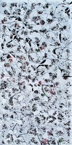 Styropor - Plastik, 50x100cm