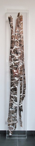 Eukalyptusrinde (40x220cm)