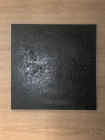 Black Alligator (80x80cm)